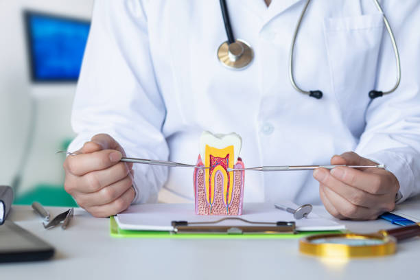 Best Emergency Wisdom Teeth Removal in Postville, IA